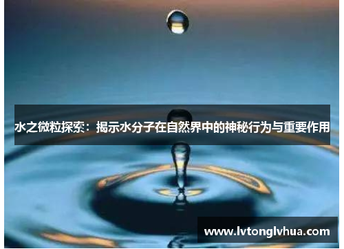 水之微粒探索：揭示水分子在自然界中的神秘行为与重要作用