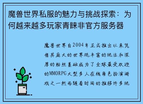 魔兽世界私服的魅力与挑战探索：为何越来越多玩家青睐非官方服务器